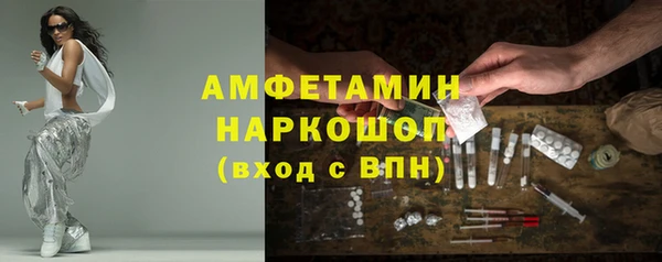 стаф Алзамай