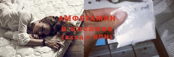 стаф Алзамай