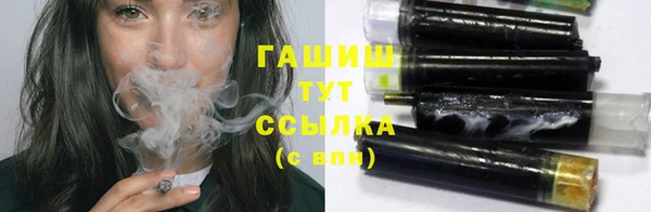 стаф Алзамай