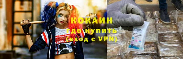 стаф Алзамай