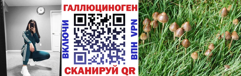 Псилоцибиновые грибы Magic Shrooms  купить наркотики цена  Лабытнанги 