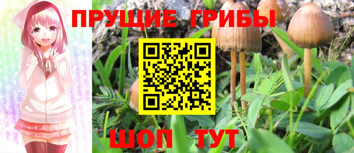 Галлюциногенные грибы мицелий Лабытнанги